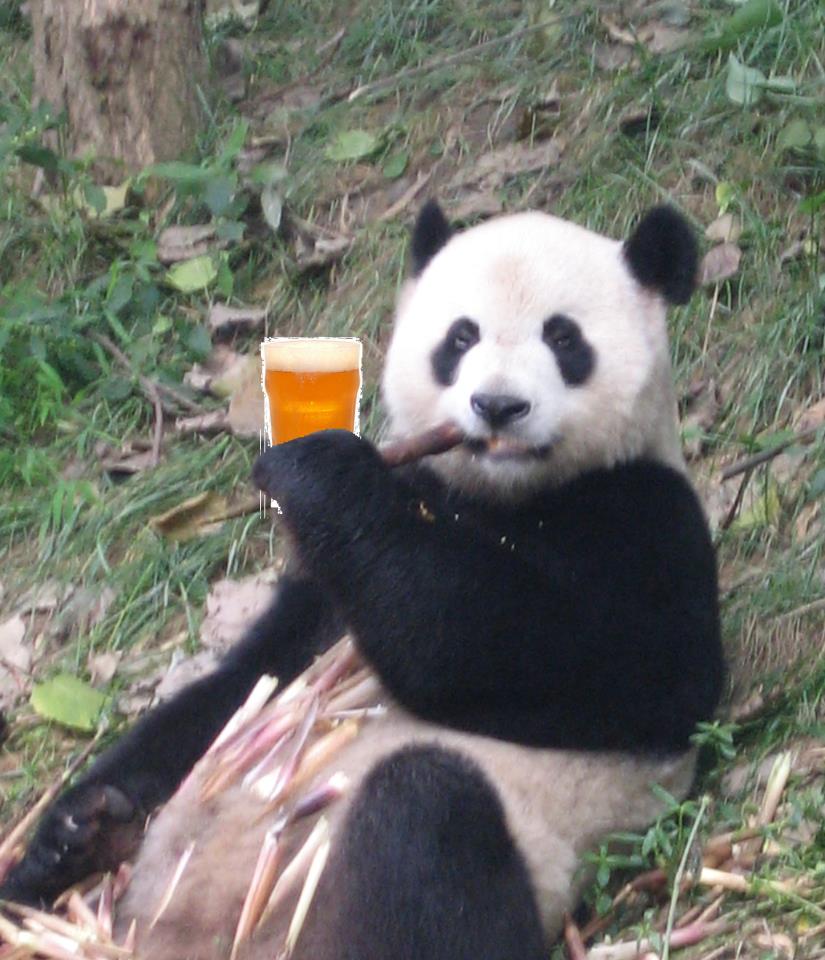Панды едят мясо. Панда. Смешная Панда. Медведь Панда.